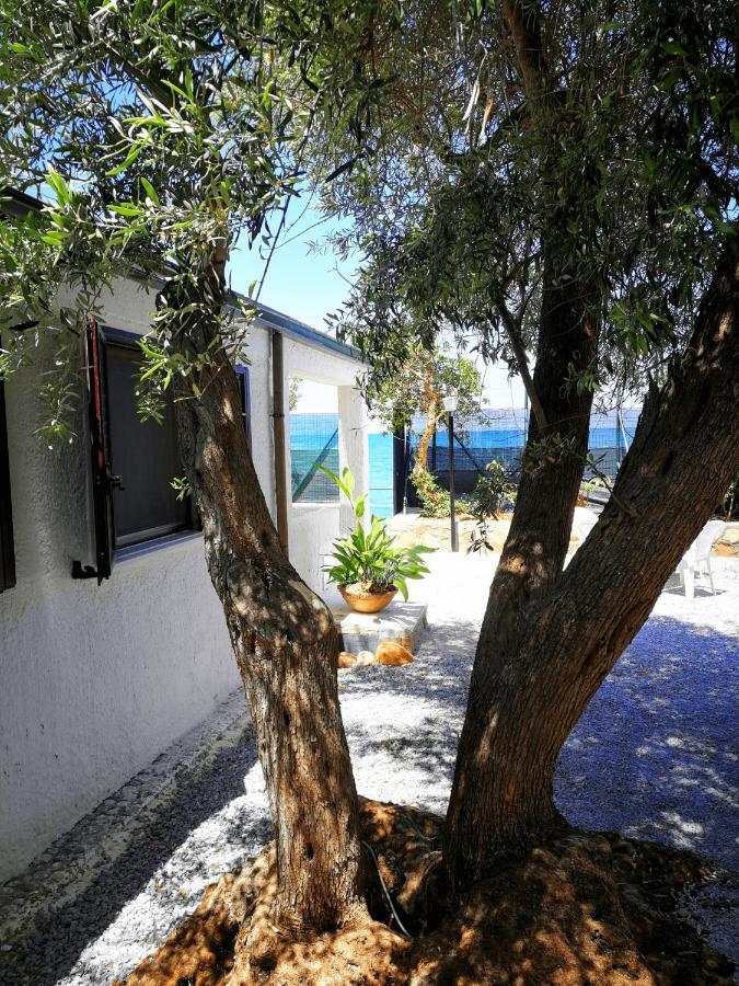Villa La Plaja Cefalu Bagian luar foto